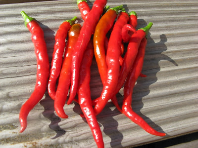 Sweet Chillies