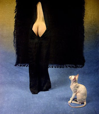 Bogdan Zwir, Naked