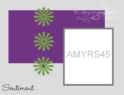[amyrs45.png]