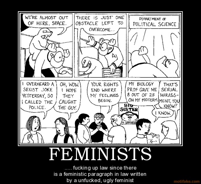Feminism Demotivational