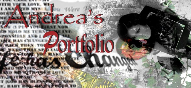 Andrea's Portfolio