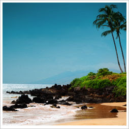 maui rentals