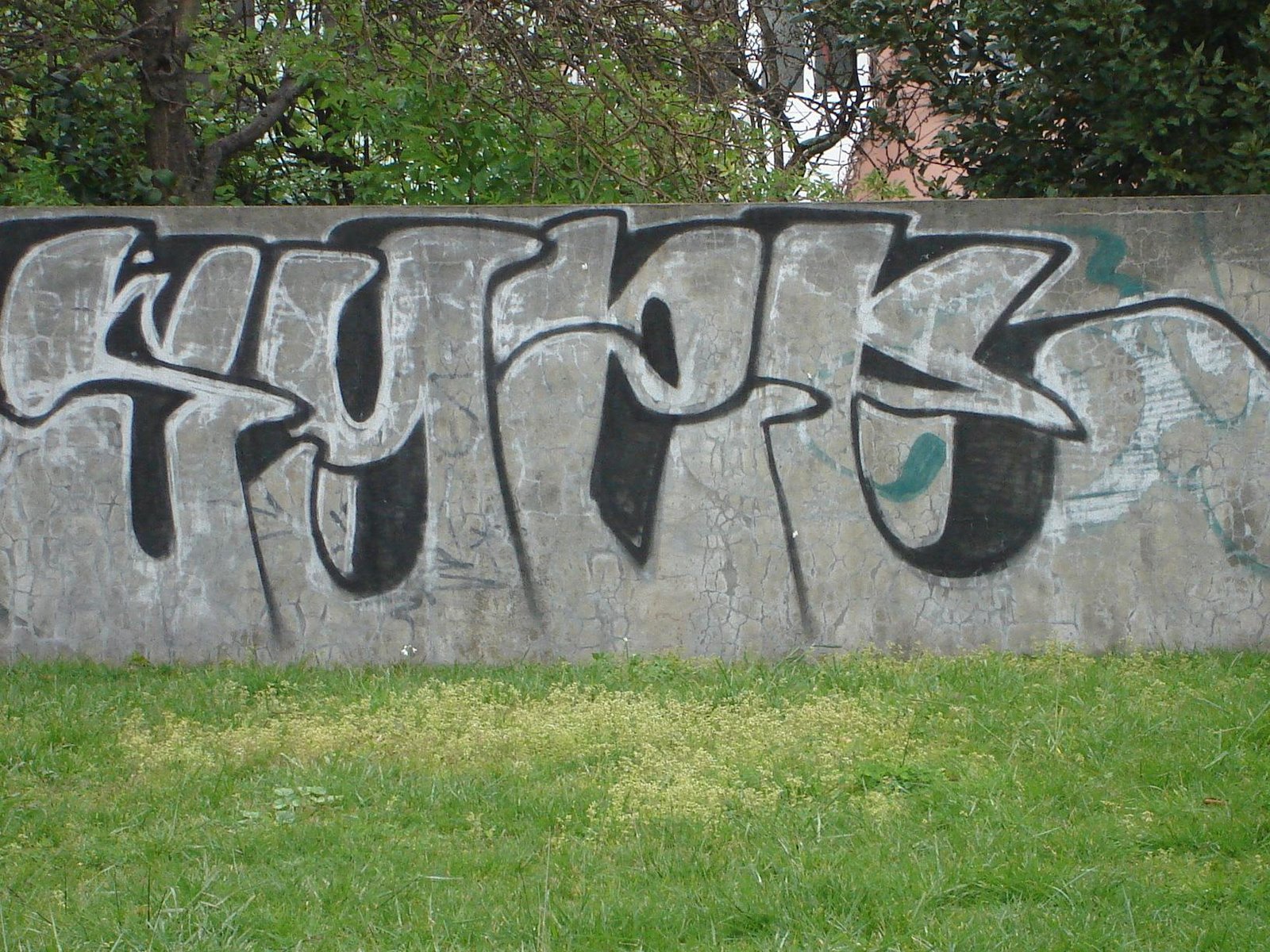 [DSC01198+(Custom).JPG]