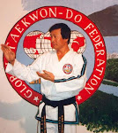 INFUENCIAS TAEKWONDO