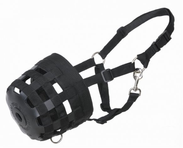 [muzzle.bmp]