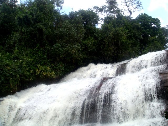 VIVER PE São Benedito do Sul