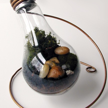 diy craft idea repurposed light bulb terrarium and more