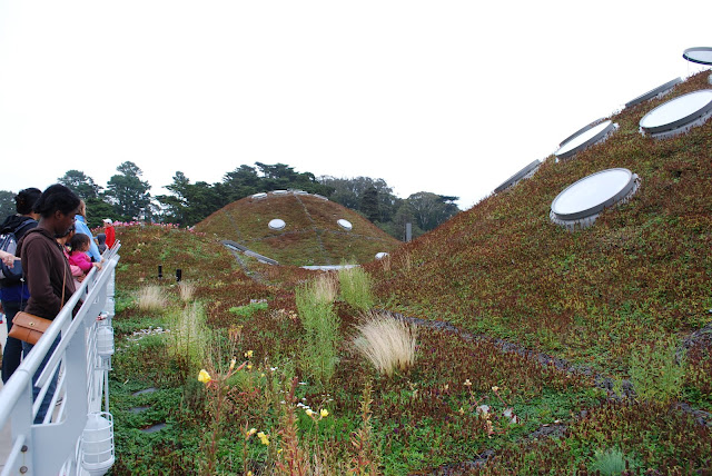 The Californian Academy of Sciences, USA