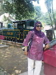 Shariffah Norlaila Syed Alwi