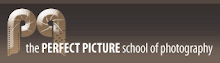 The Perfect Picture School of Photography