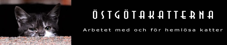 Östgötakatterna