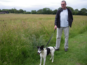 roden dogs trust shrewsbury