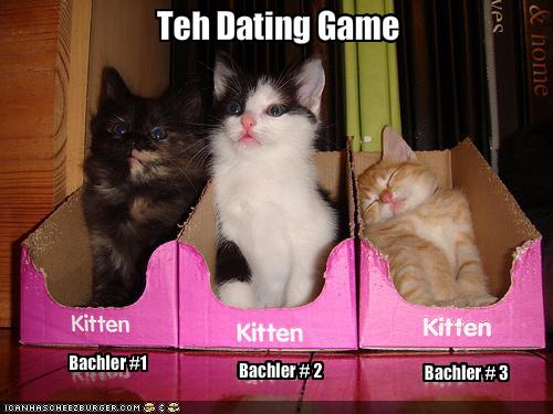 Funny Dating Quotes