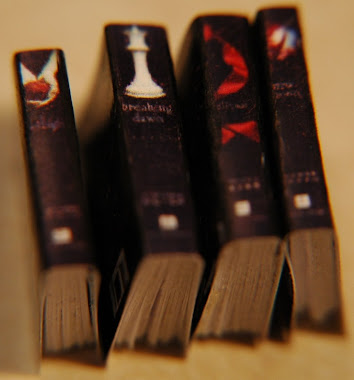 Miniature Twilight Books with Real Blank Pages $14.99