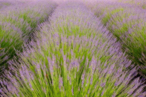 [Blog_20090710_1.jpg]