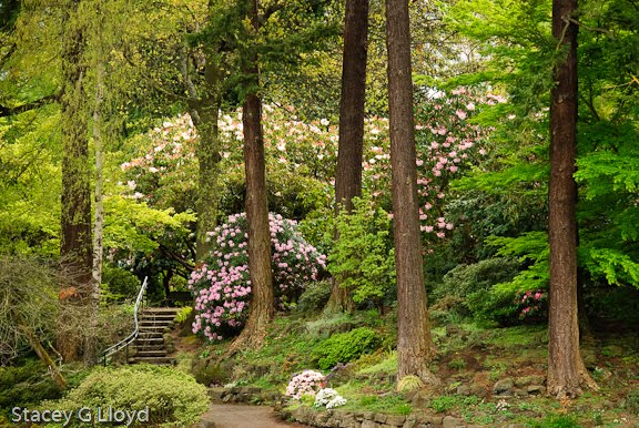 [Blog_20090429_2.jpg]