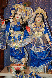 RUKMINI E KRISHNA