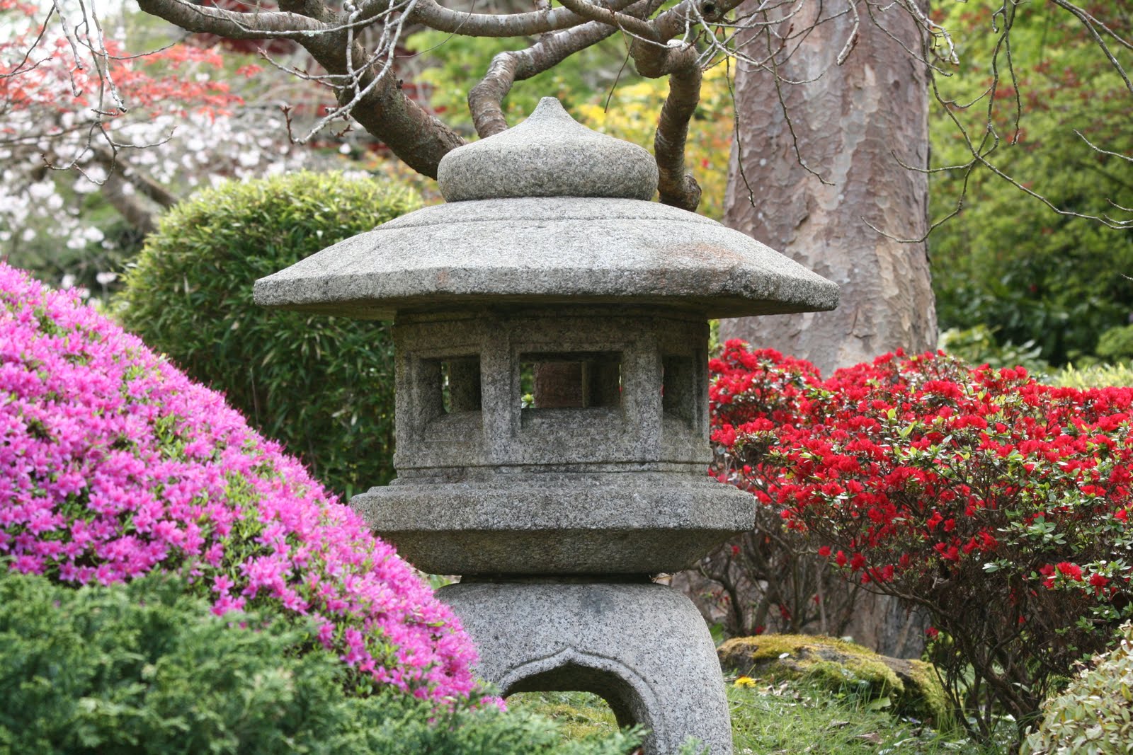 School For Us Japanese Tea Garden (Day 5 SF trip)