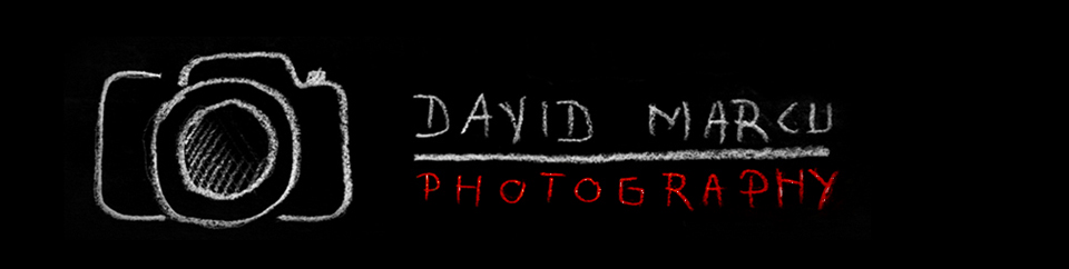 Marcu David Photoblog
