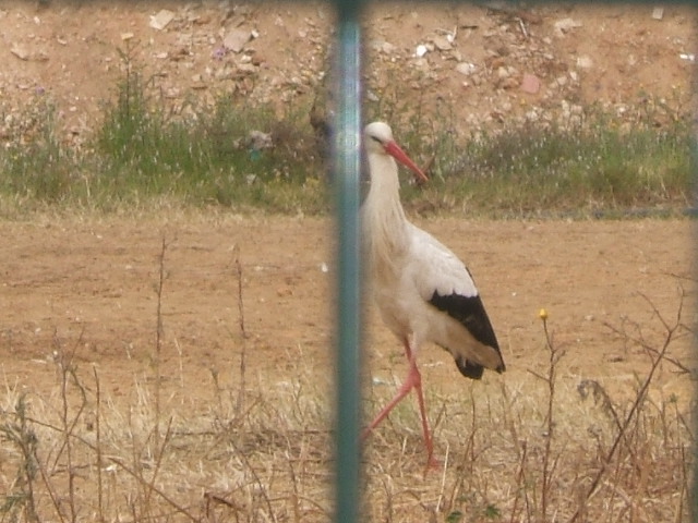 [DSCF3640.JPG]