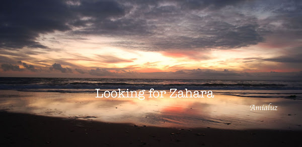 Looking for Zahara