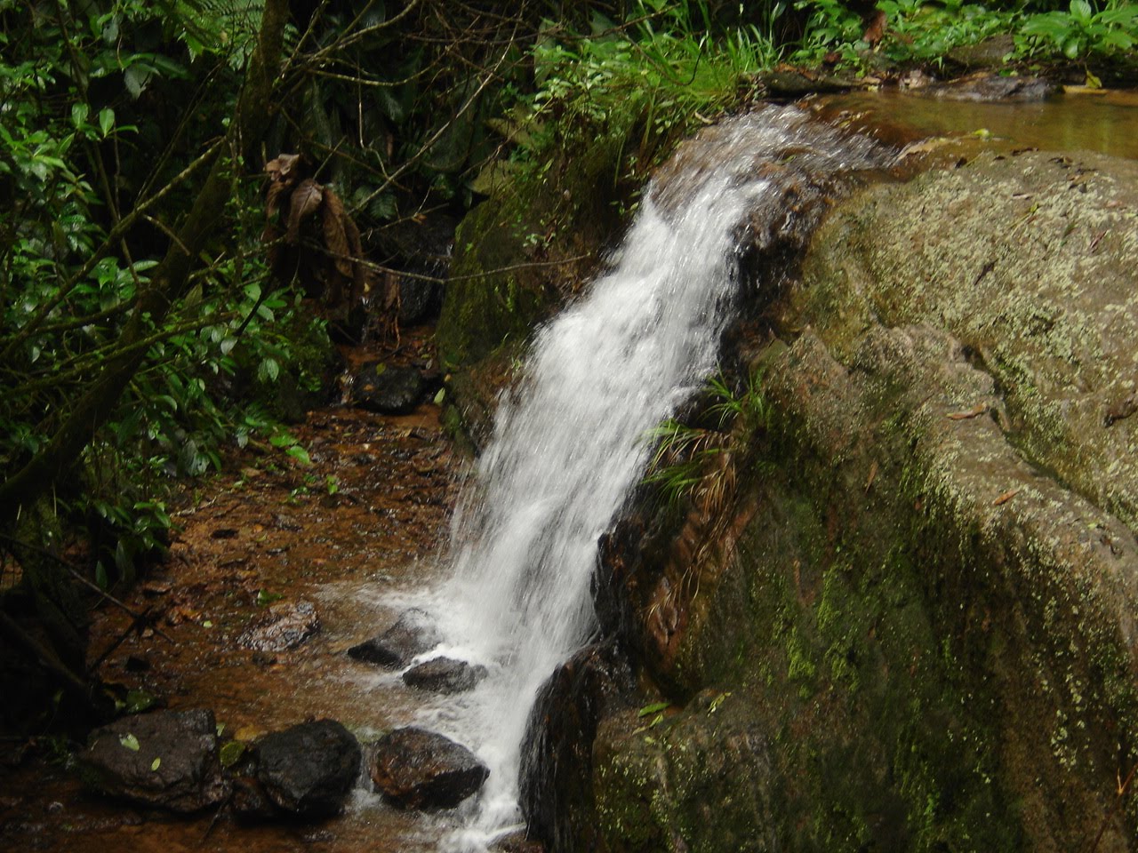 Como por meio do carbonato de sódio para retirar sardas