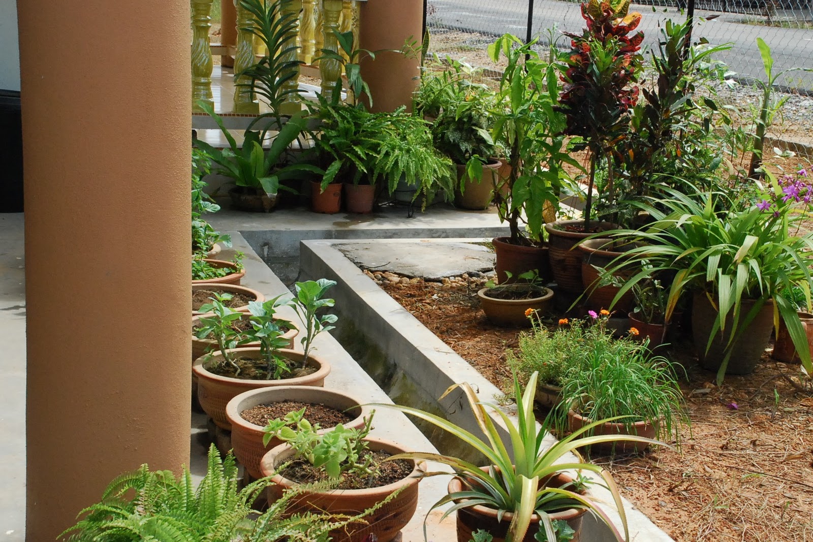 My little vegetable garden: Getting on with the new garden