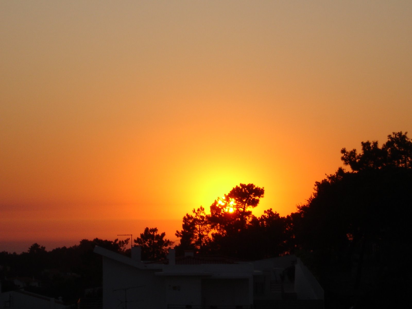 [DSC03156.JPG]