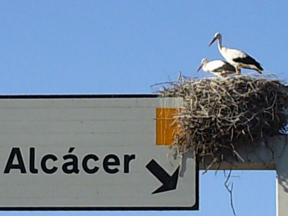 [Picture+255.jpg]