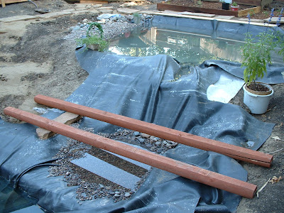 koi-pond-swimming-pool-3.jpg
