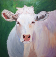 Cows In Massachussets