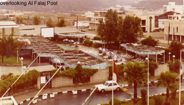 [n605694903_186346_3447.jpg]