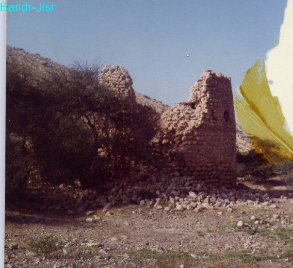 [n605694903_186367_8436.jpg]