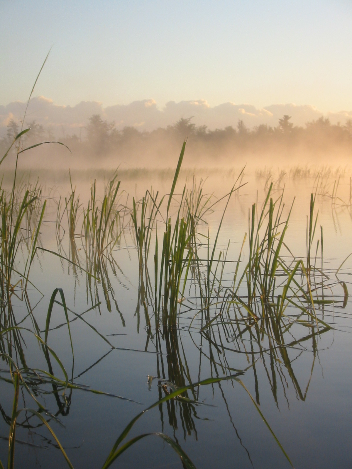Exploring Androscoggin County Sabattus Pond Raven Watcher