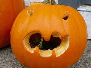 Halloween - Carved Pumpkin