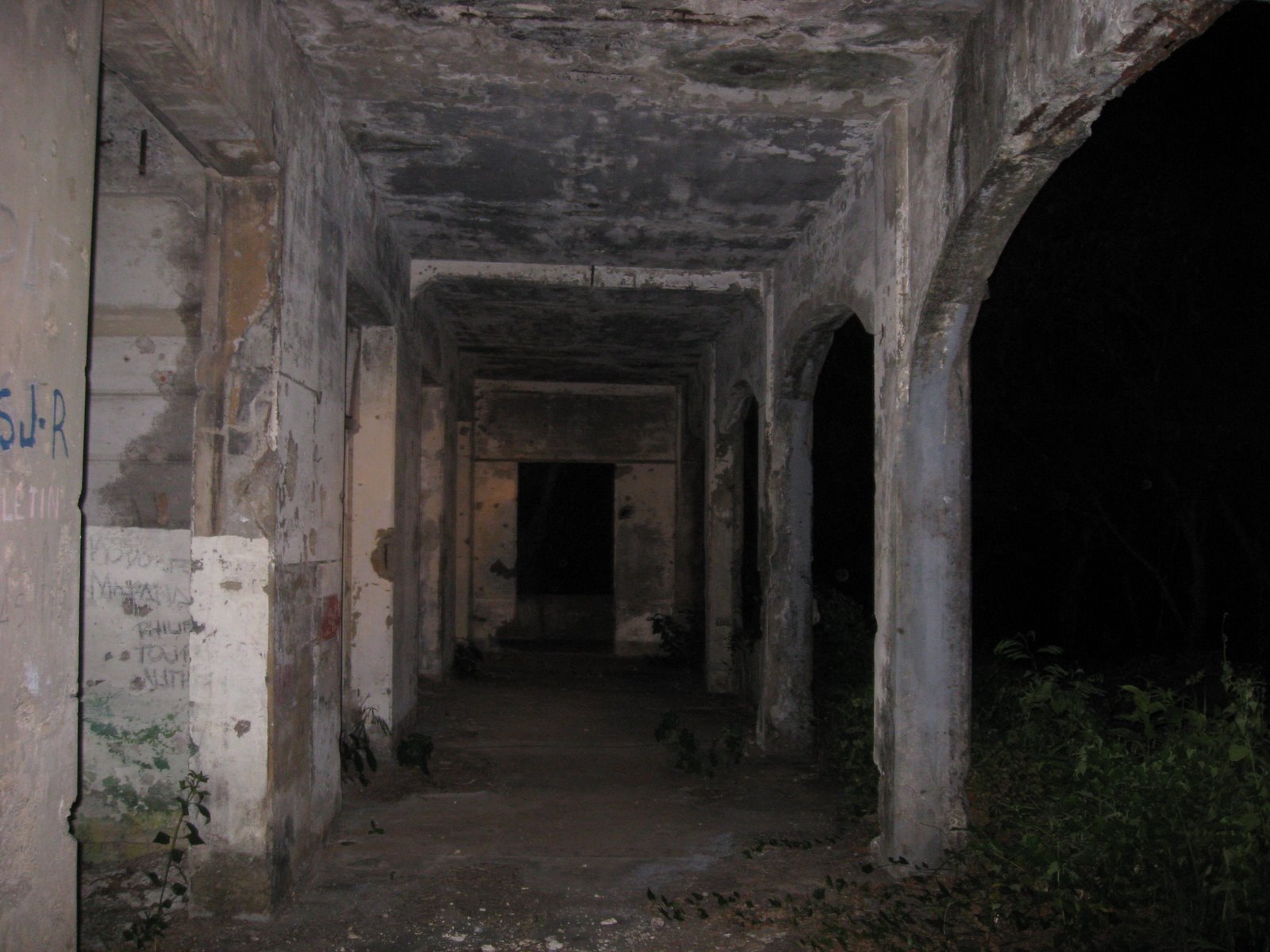 [IMG_1666.JPG]