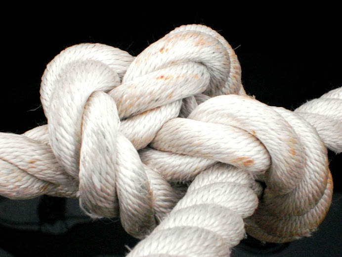 A FORÇA DE SER DIFERENTE