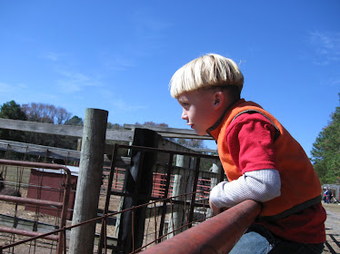 The Determined Gold Miner