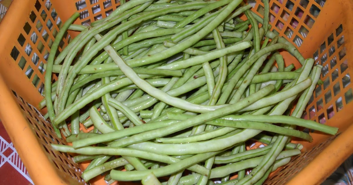 Cook & Enjoy Recipes Cow Beans Recipes