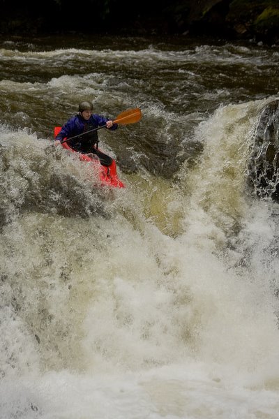 [20081109-IMG_3769.jpg]