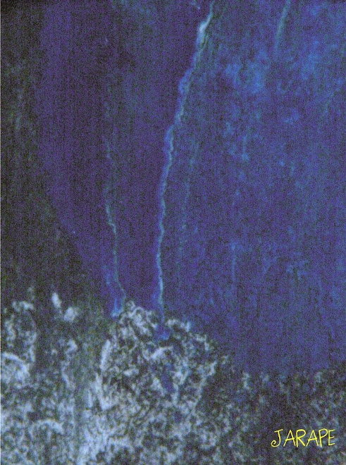 237 Ducha en la selva