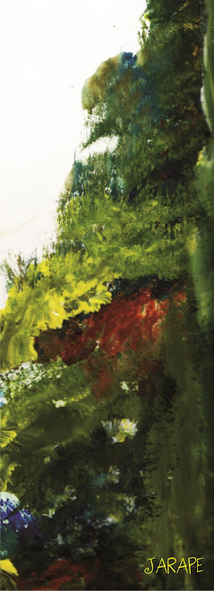 291 Ascenso al Valle de Los Nevados