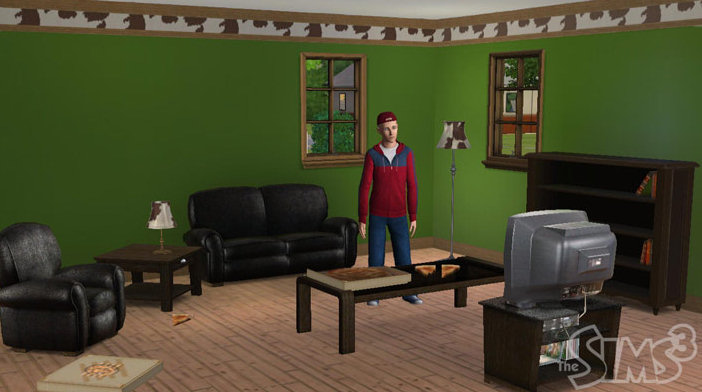 [sims3_08_h.jpg]