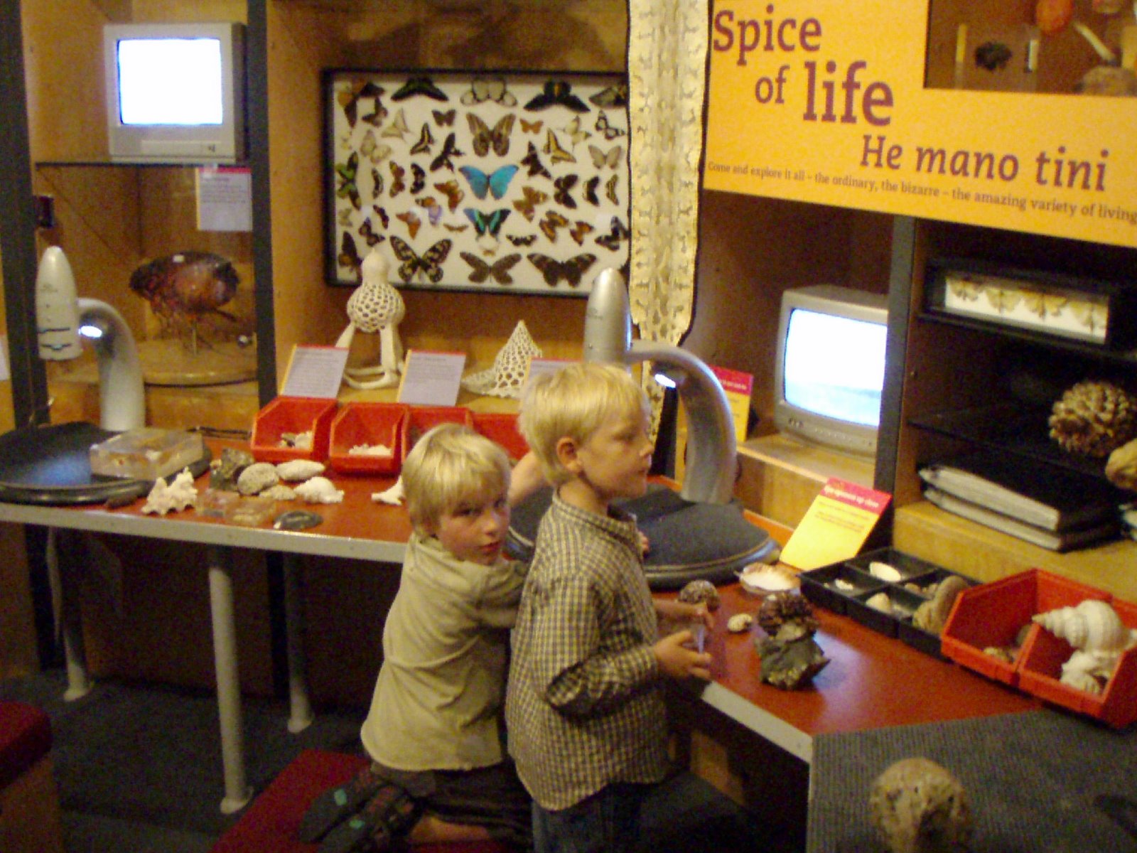 [PC140022.JPG]