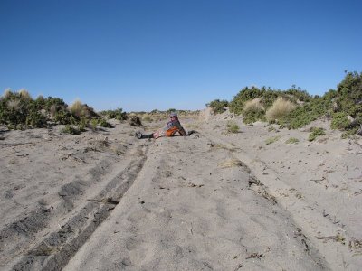 [IMG_1758.JPG]