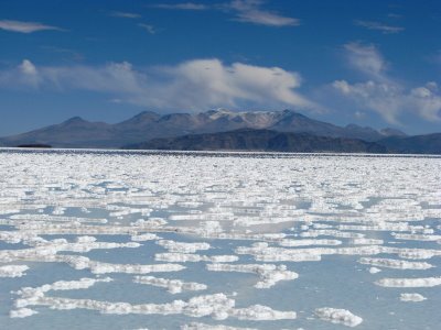 [IMG_1950.JPG]