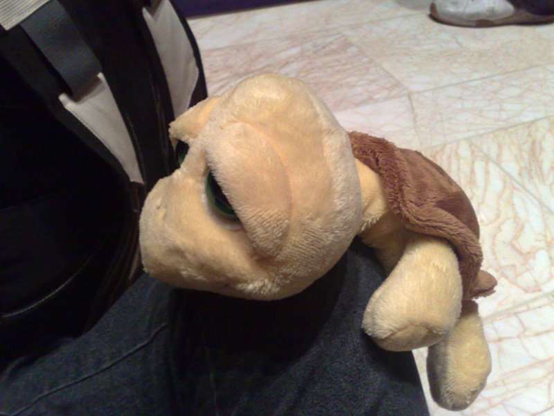 [20081226413.jpg]