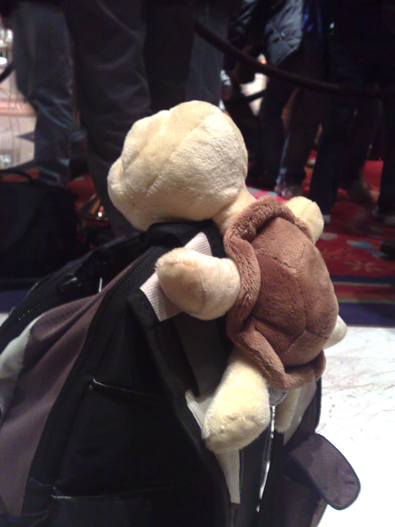 [20081226414.jpg]