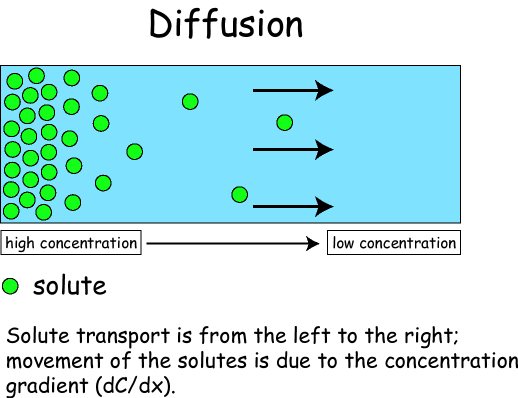types of passive transport