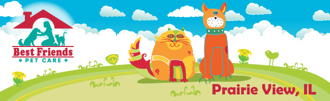 Best Friends Pet Care, Prairie View